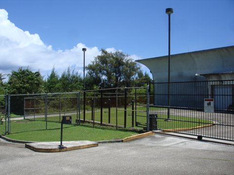 DSC04850