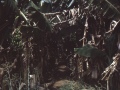 19670127001_1