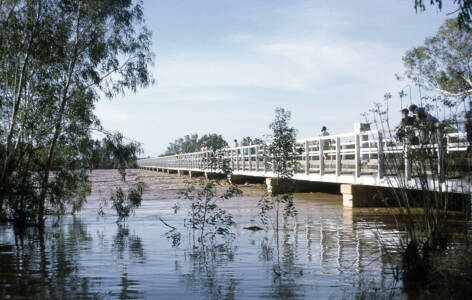 CVN 71 Gascoyne River In Flood after Cyclone Elsie